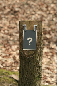 Creative Commons licensed image posted at Flickr by Patrick Bürgler