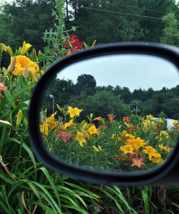 Creative Commons licensed image posted at Flickr by Amy Witt