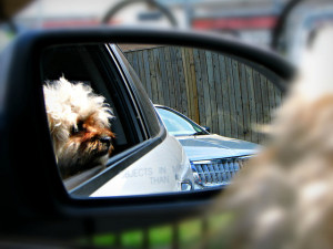 Creative Commons licensed image posted at Flickr by Michael Gil
