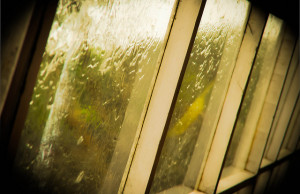 Creative Commons licensed image posted at Flickr by Tanu Anand